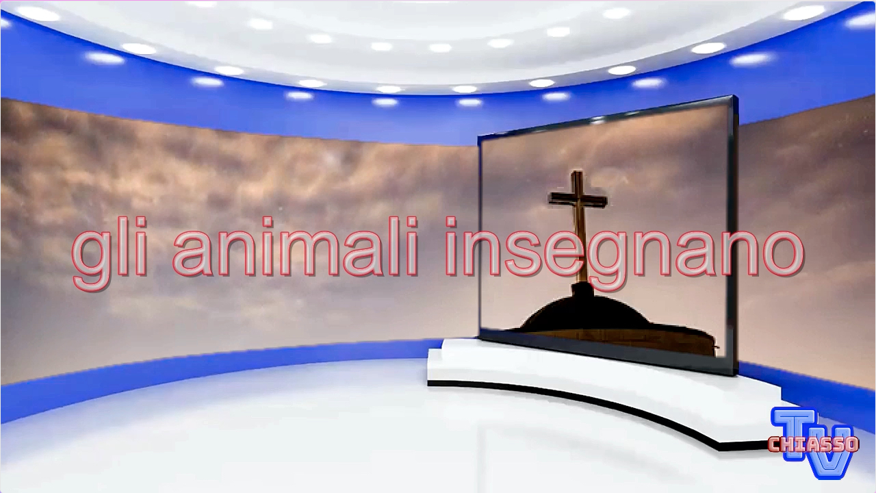 'Gli animali insegnano' episoode image